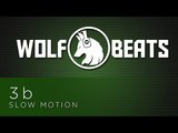 3b - Slow Motion