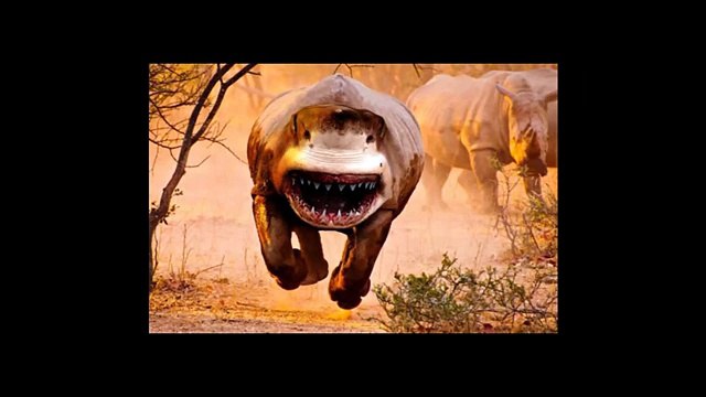 Very Funny Photoshopped Hybrid Animals - You Can't Stop Laughing While Watching This Video