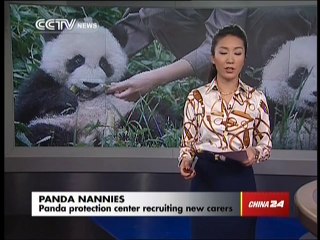 Le job le plus marrant au monde