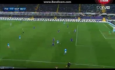 Gonzalo Higuain Goal ( offside ) Fiorenitna 1-1 Napoli - HD