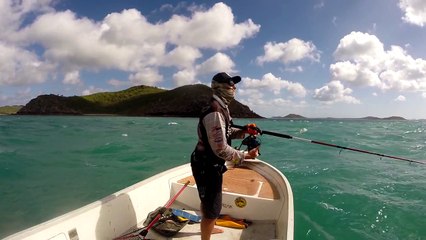 Holy mackerel!