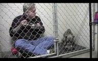 Enters the cage and dining to help the terrified dog