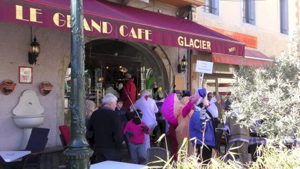 Carnaval de Limoux 20 Février 21016 4K ULTRA HD (2)