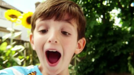 Topsy and Tim First Day - ( Series 2 Episode 29 )