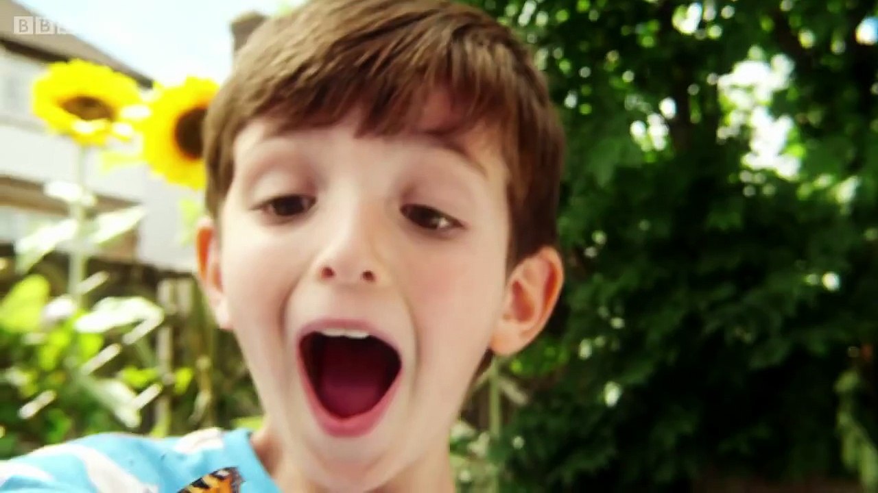 Topsy and Tim First Day - ( Series 2 Episode 29 )