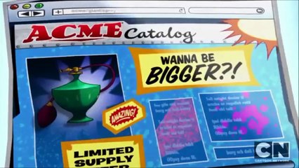 Wile E. Coyote and Road Runner