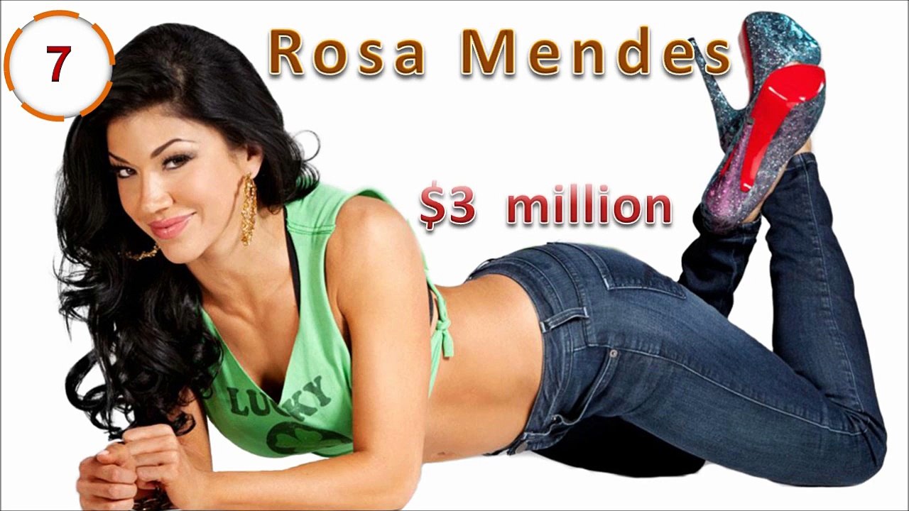 Top 10 richest WWE Divas 2016