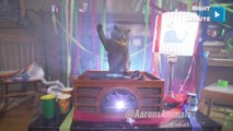 DJ Clawsome Lets the Beat Drop at Legendary Cat House Party