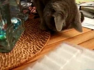 Le plastique c'est fantastique