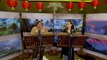 Kung Fu Panda 3 B-ROLL 1 (2016) - Jack Black, Angelina Jolie Animated Movie HD