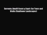 Download Sorrento Amalfi Coast & Capri: Car Tours and Walks (Sunflower Landscapes) PDF Online