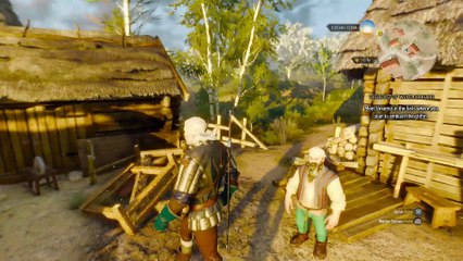 THE WITCHER 3 WALKTHROUGH PART 23 - DEVIL BY THE WELL CONTRACT