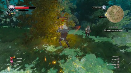 THE WITCHER 3 WALKTHROUGH PART 29 - WILD AT HEART