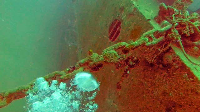 My First Diving Video - Koh Tao