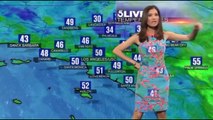 Chan Liberté jacket when proclaimed savior weather maps for any wear dresses