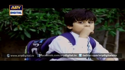 Watch Naraaz Episode – 17 – 1st March 2016 on ARY Digital