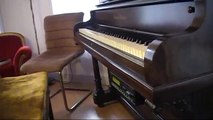 Tiny Toon Adventures Theme piano-roll arrangement by Max Demski