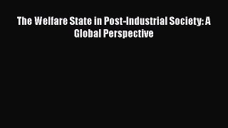 Download The Welfare State in Post-Industrial Society: A Global Perspective PDF Free