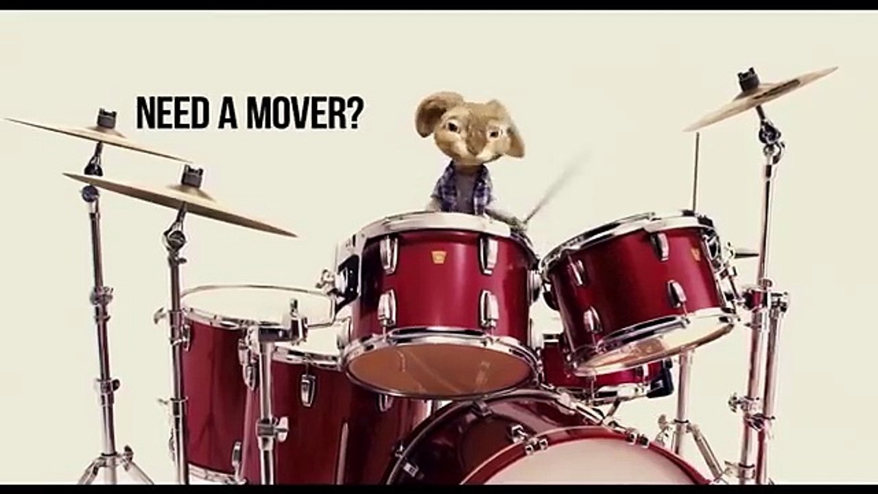 BP Express Moving Co-Rabbit Killing it