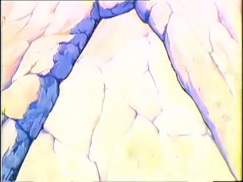 Ali Baba ve Kırk Haramiler Sinema Filmi Çizgi Film