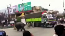 Rhino on the rampage in Nepalese town || Animal attack