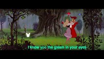 Sleeping Beauty Lyric Video | Once Upon A Dream | Sing Along