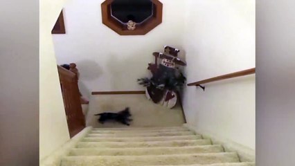 This is what our usual morning commute looks like.