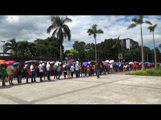 Black Nazarene devotees share stories of healing