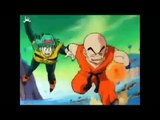 Dragon Ball Z Heros will Fighting Together