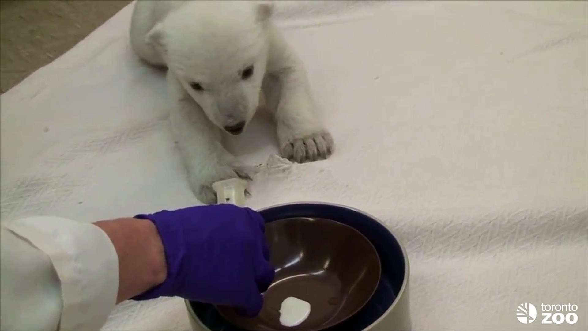 ⁣First Time Eating From a Dish