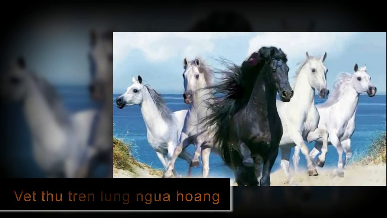 Hòa tấu Cha cha cha - Vết thù trên lưng ngựa hoang P1