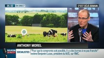 La chronique d'Anthony Morel: Les animaux de la ferme deviennent de plus en plus connectés - 01/03