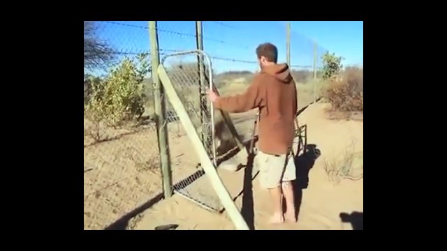 Невероятная дружба! (люди и дикие животные)