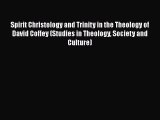 Download Spirit Christology and Trinity in the Theology of David Coffey (Studies in Theology