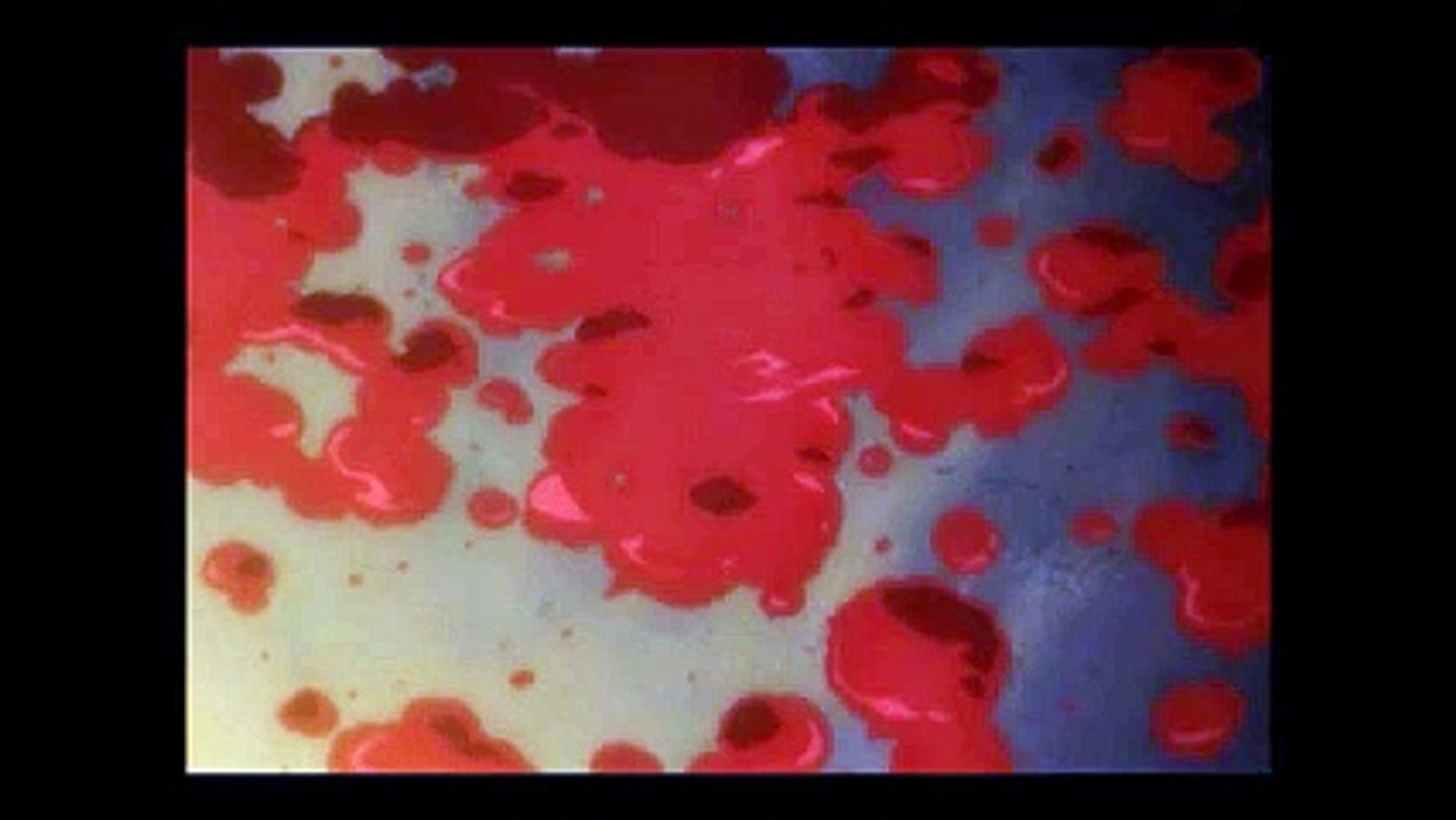 バジ甲賀vs伊賀 お胡夷死亡 動画 Dailymotion