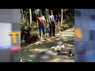 Teka teki Pembunuhan Salim Kancil