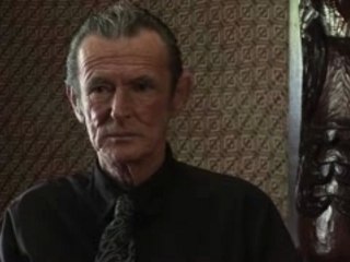 Arana Collett: Bridging the Gap