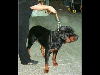 Montlucon 2 super journee