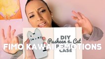 How to Draw PUSHEEN CAT • Collab. with FimoKawaiiEmotions