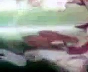 Bugs Bunny - Baseball Bugs