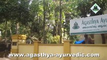 Ayurvedic Hospital  Kerala - Panchakarma Therapy - Marma Chikitsa - Stroke Symptoms