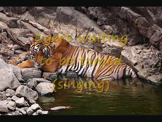 Clocks -Coldplay- (Karaoke)