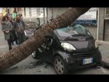 Napoli - Raffiche di vento, cadono alberi e lampioni (29.02.16)