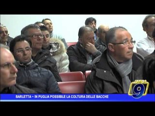 Barletta  | In Puglia possibile la coltura delle bacche