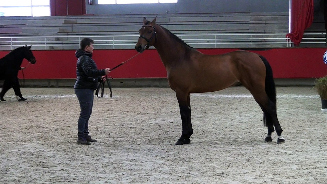 cas d'ecole st lo
