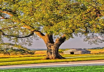 네임드사다리놀이터 ゲ Supercar123.Com 가입코드7171