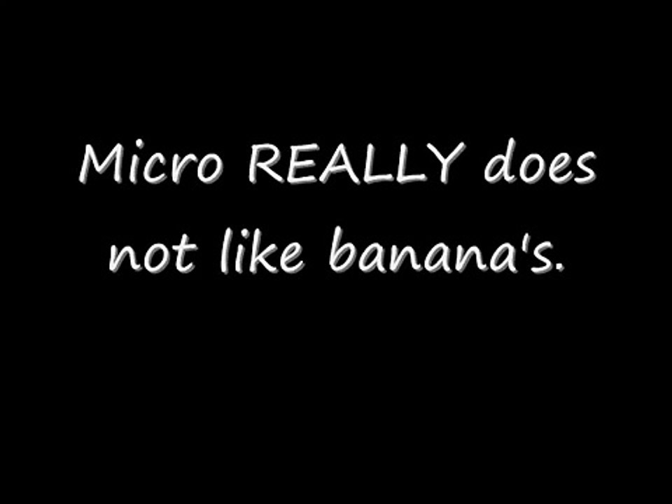 Micro The Cat