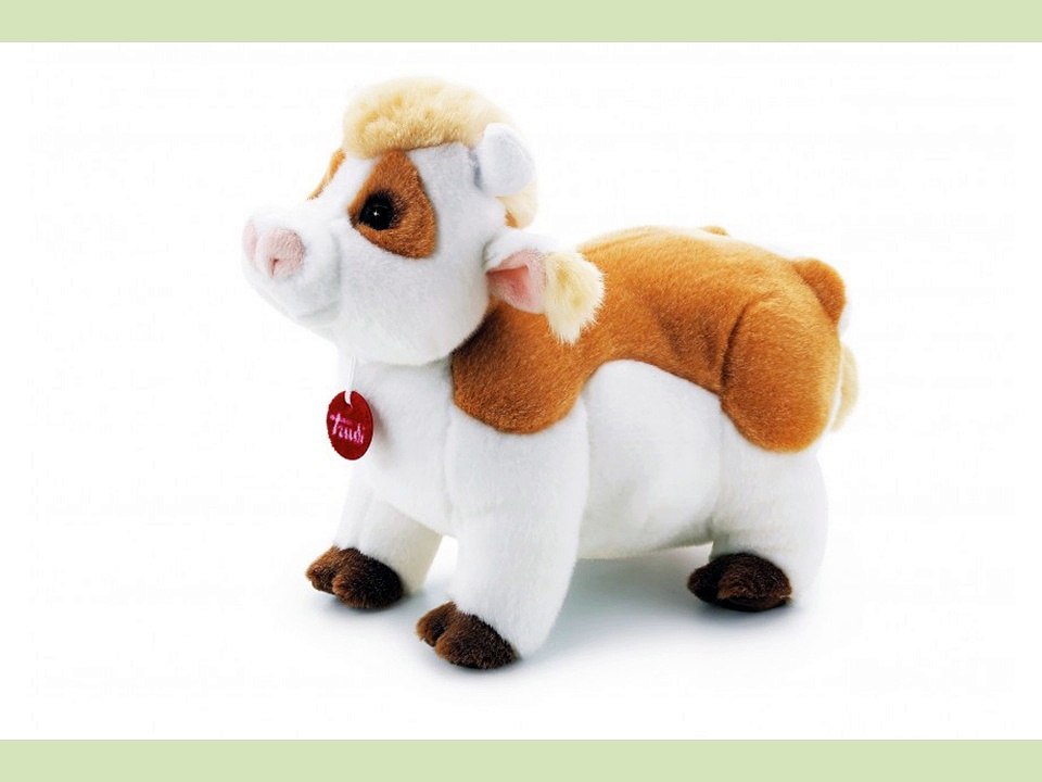 nounours en peluche fait son salon de l'agri