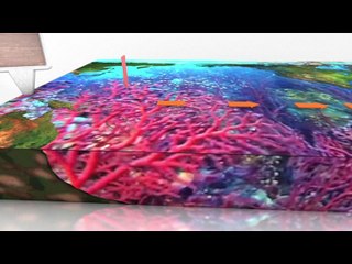 La Grande barrière de corail présente des signes de blanchiment