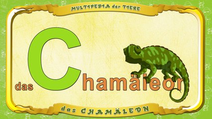 Multipedia der Tiere. Buchstabe C das Chamäleon